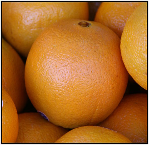 flora: fruit: orange : s-IMG_4472.jpg