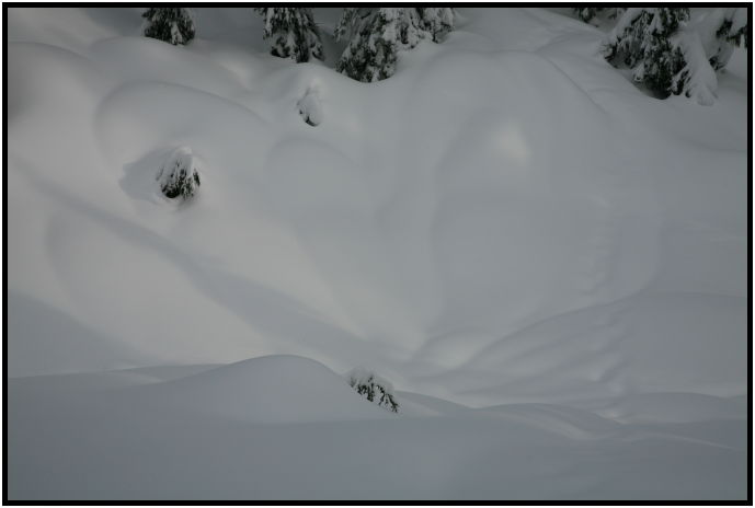 site: earth: snow : s-IMG_0965.jpg