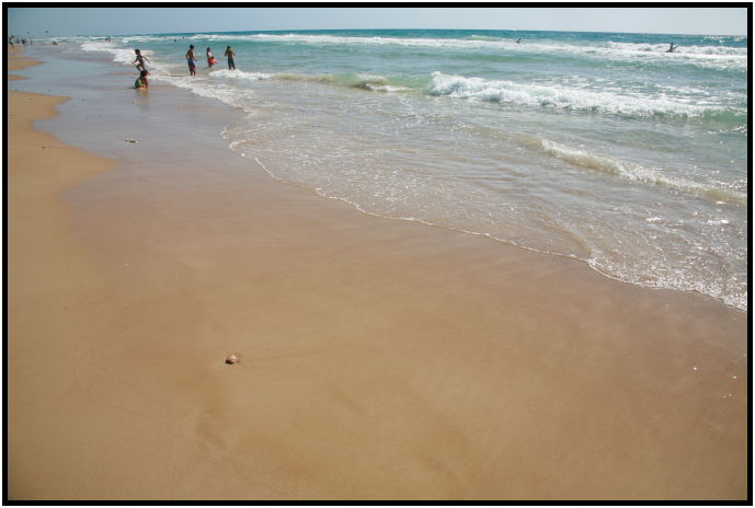 site: water: beach : s-IMG_4114.jpg
