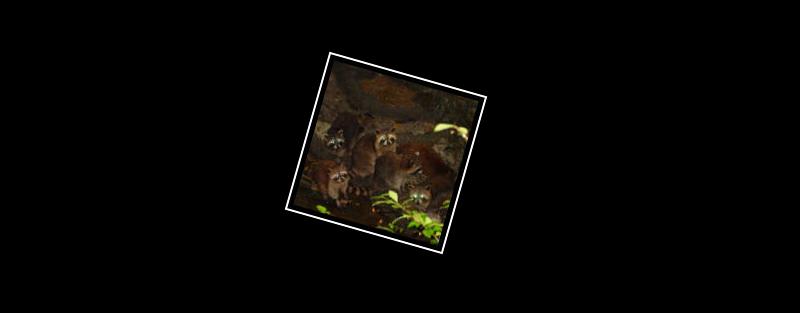 lemur