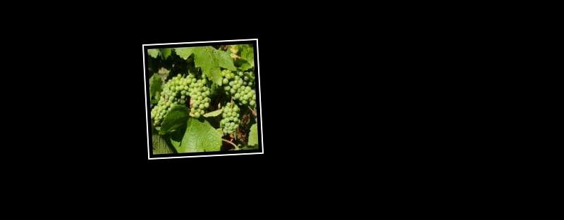 grape