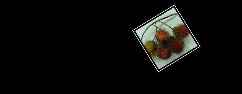 rambutan
