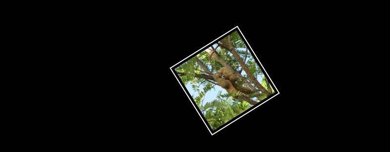 tamarind