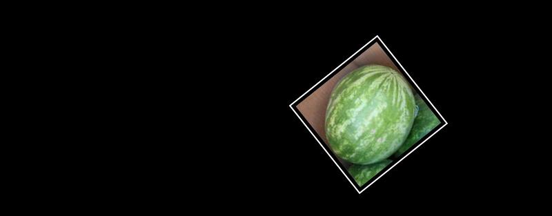 watermelon