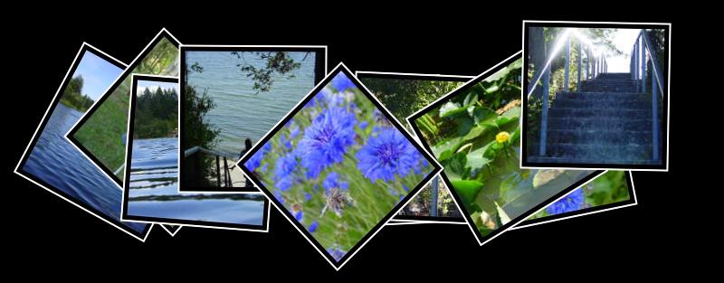 Elk Lake