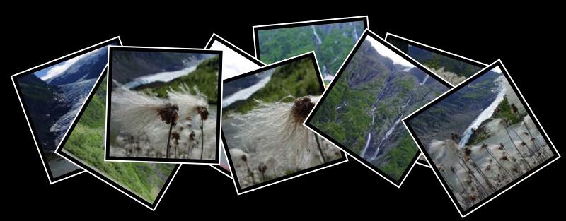Bear Glacier