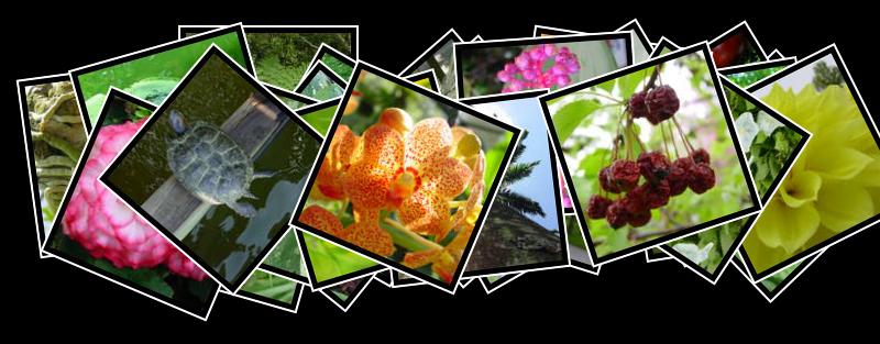Botanical Gardens