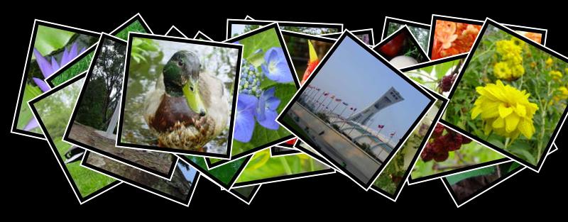 Beijing